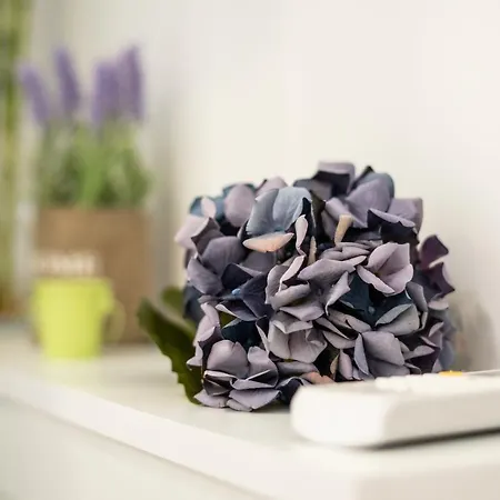 West Walls * סלוניקי